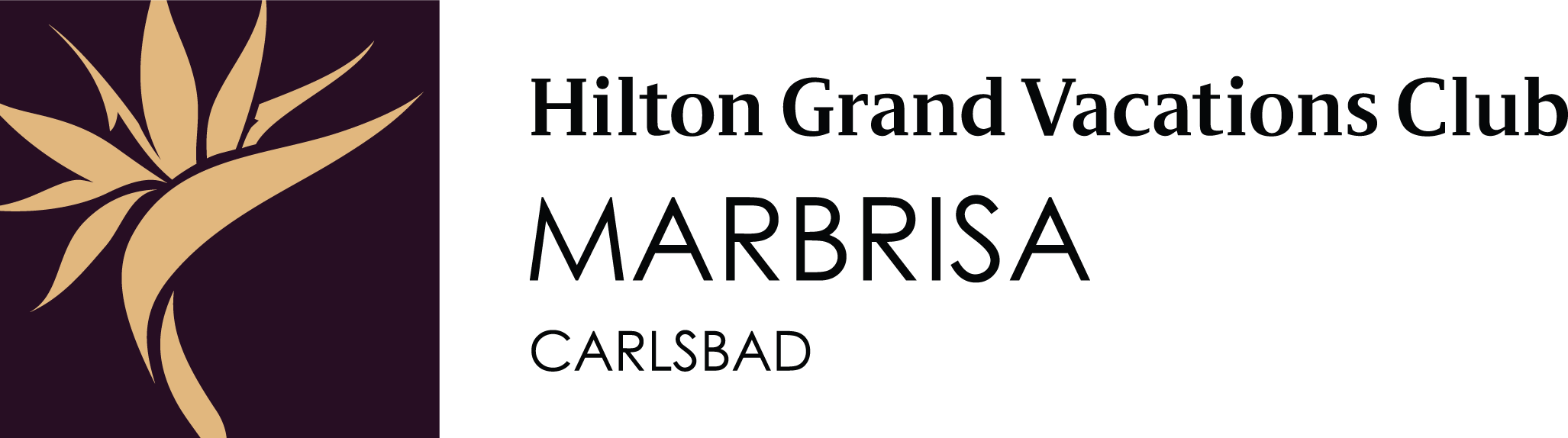 colored logo